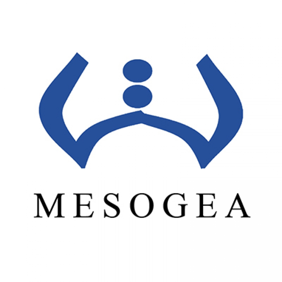 Mesogea